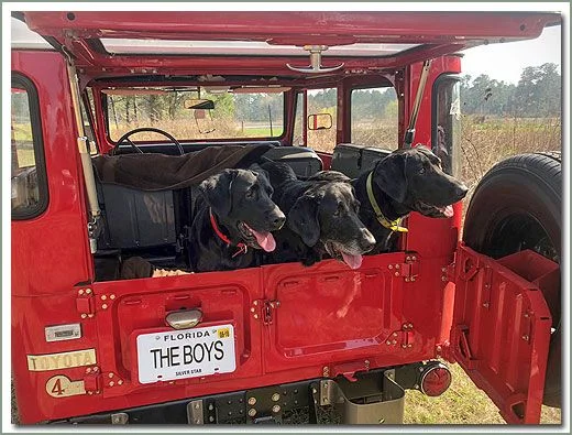 theboys-edit-big.webp