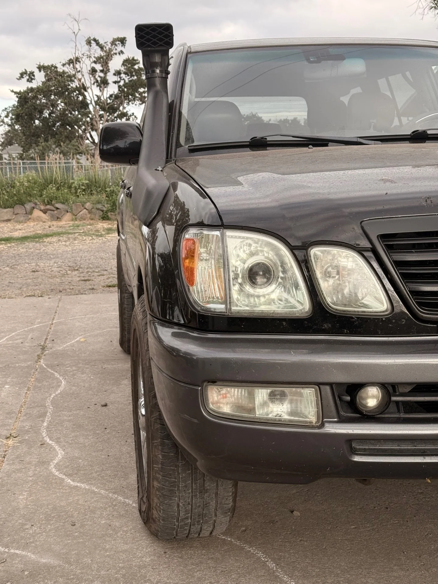 thumbnail_IMG_0328.webp