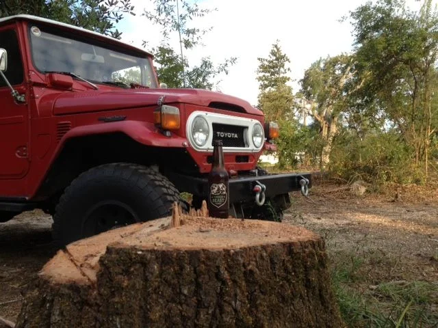 Timber Beast 40.webp