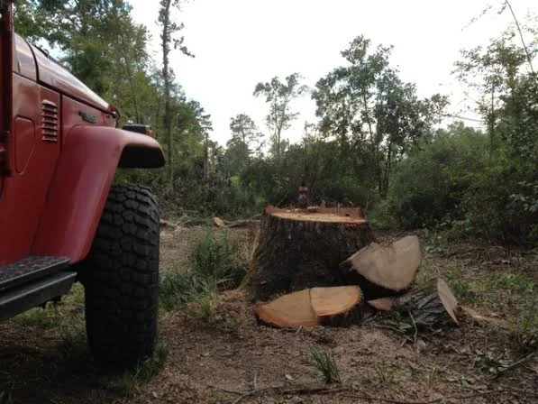 Timber Beast and 40 in Laurel.webp