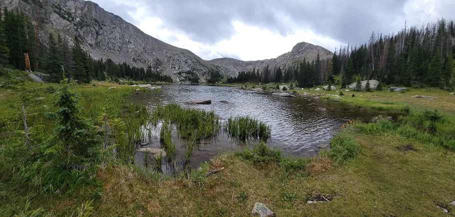 timber lake.webp