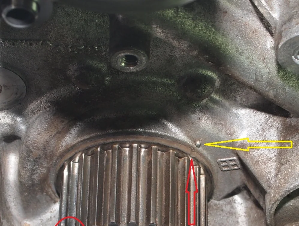 Timing Belt 06LC 194K 050 c.jpg