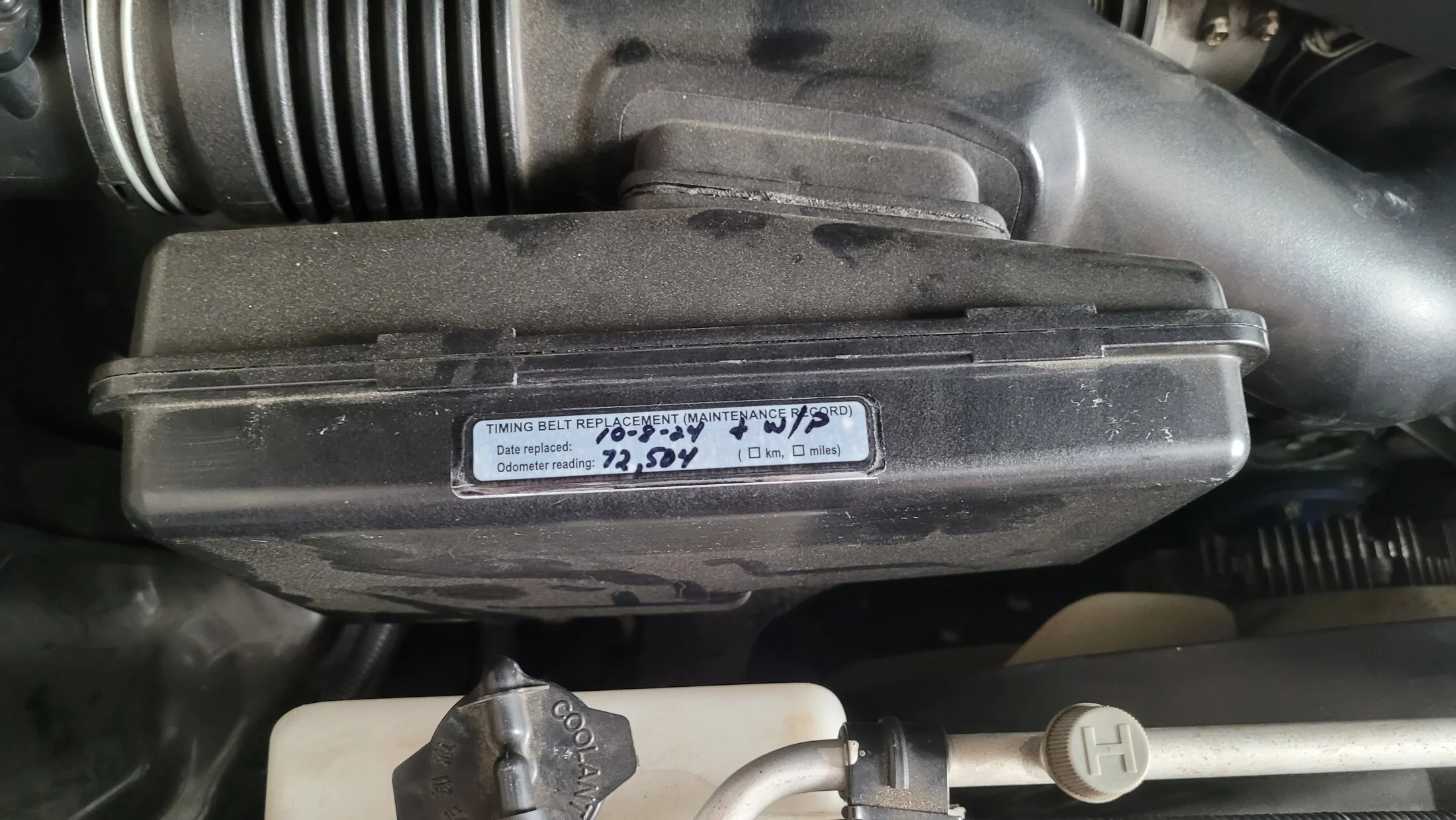 Timing Belt replaced at 72504 - 22 years old.webp