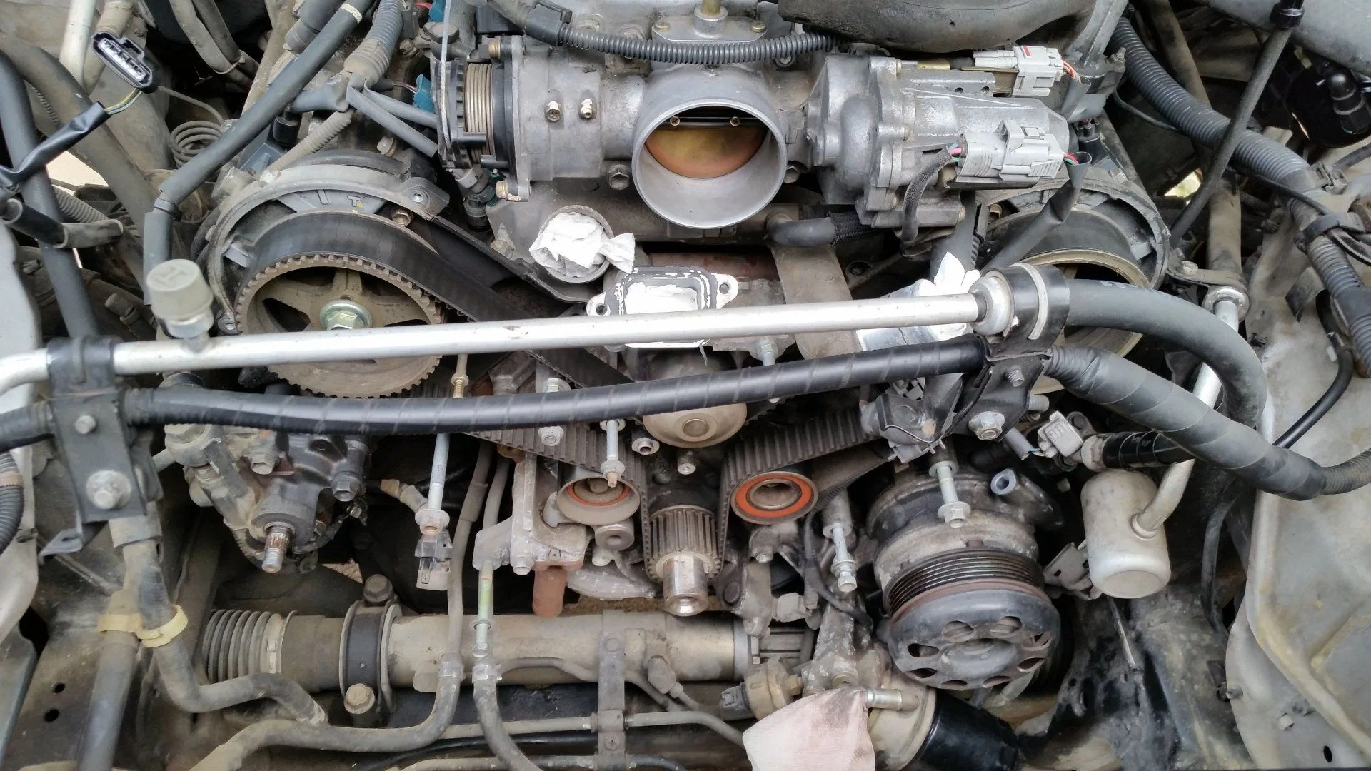 timing belt.webp