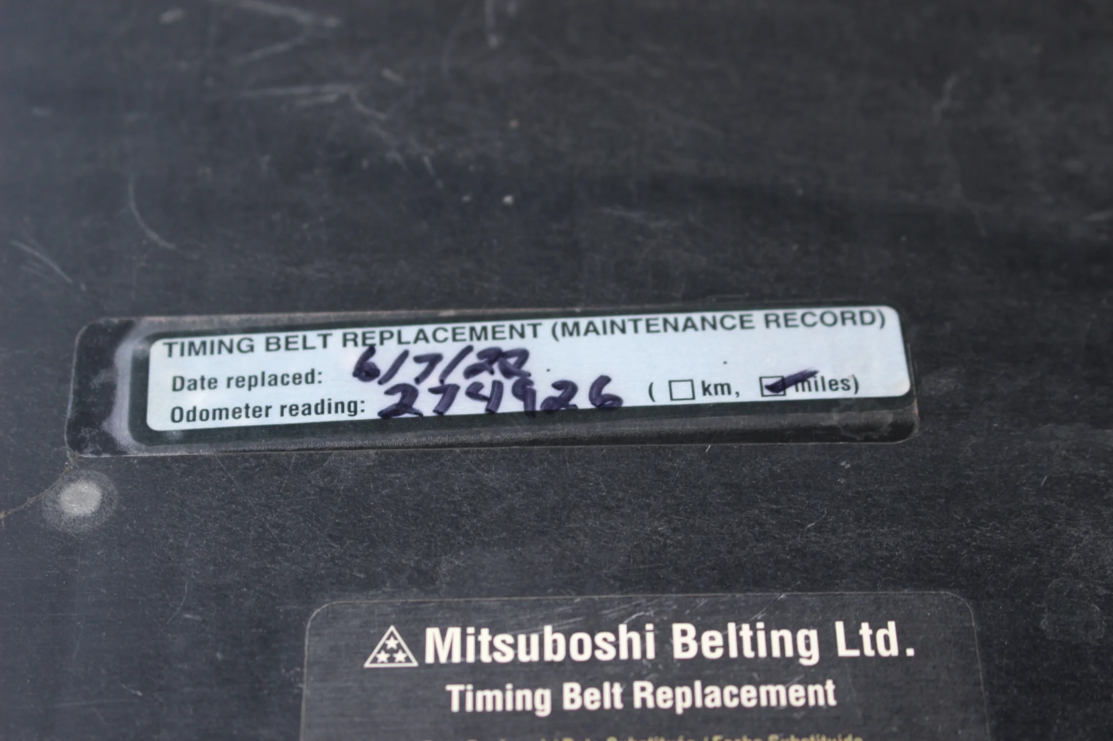 Timing belt.webp