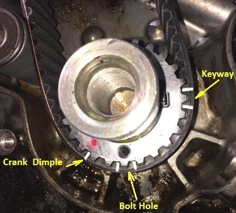 Timing Belt3.webp