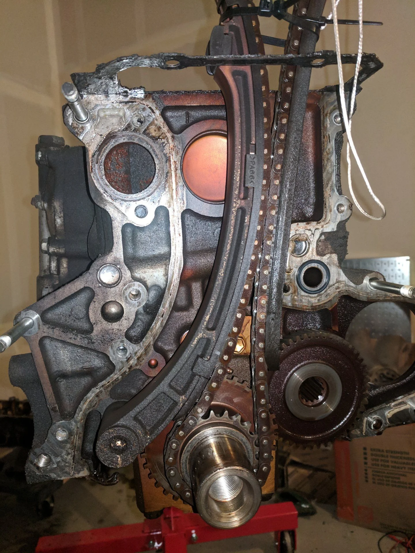 timing cover exposed.webp