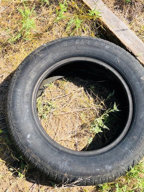 Tire.jpg