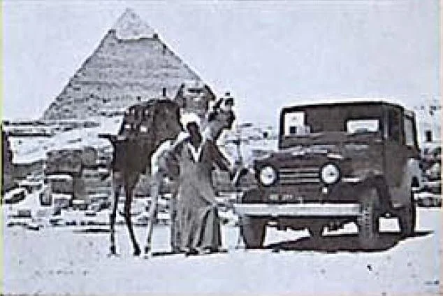 TLC 20 Egypt.webp