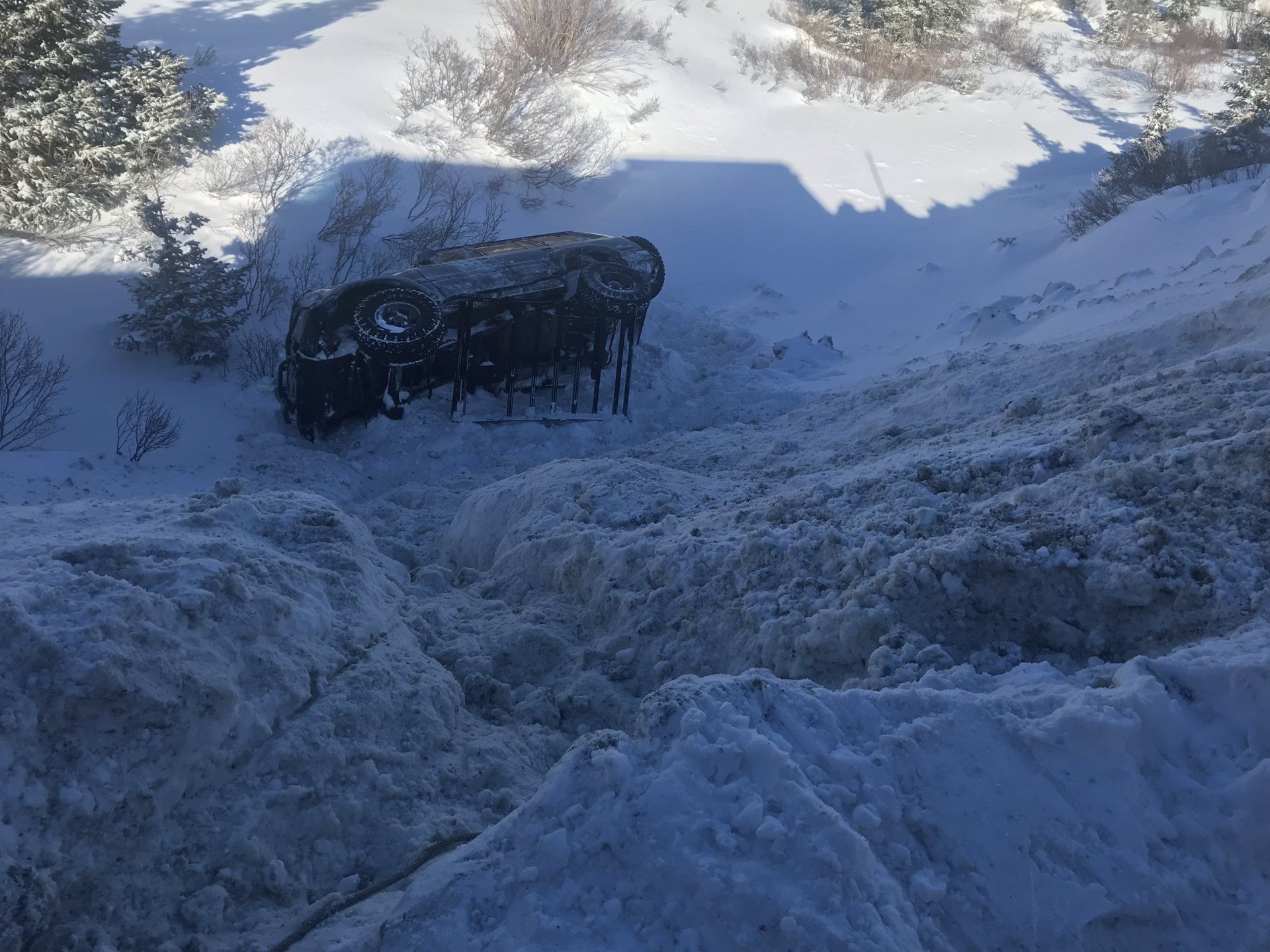 TLC Rollover.jpeg