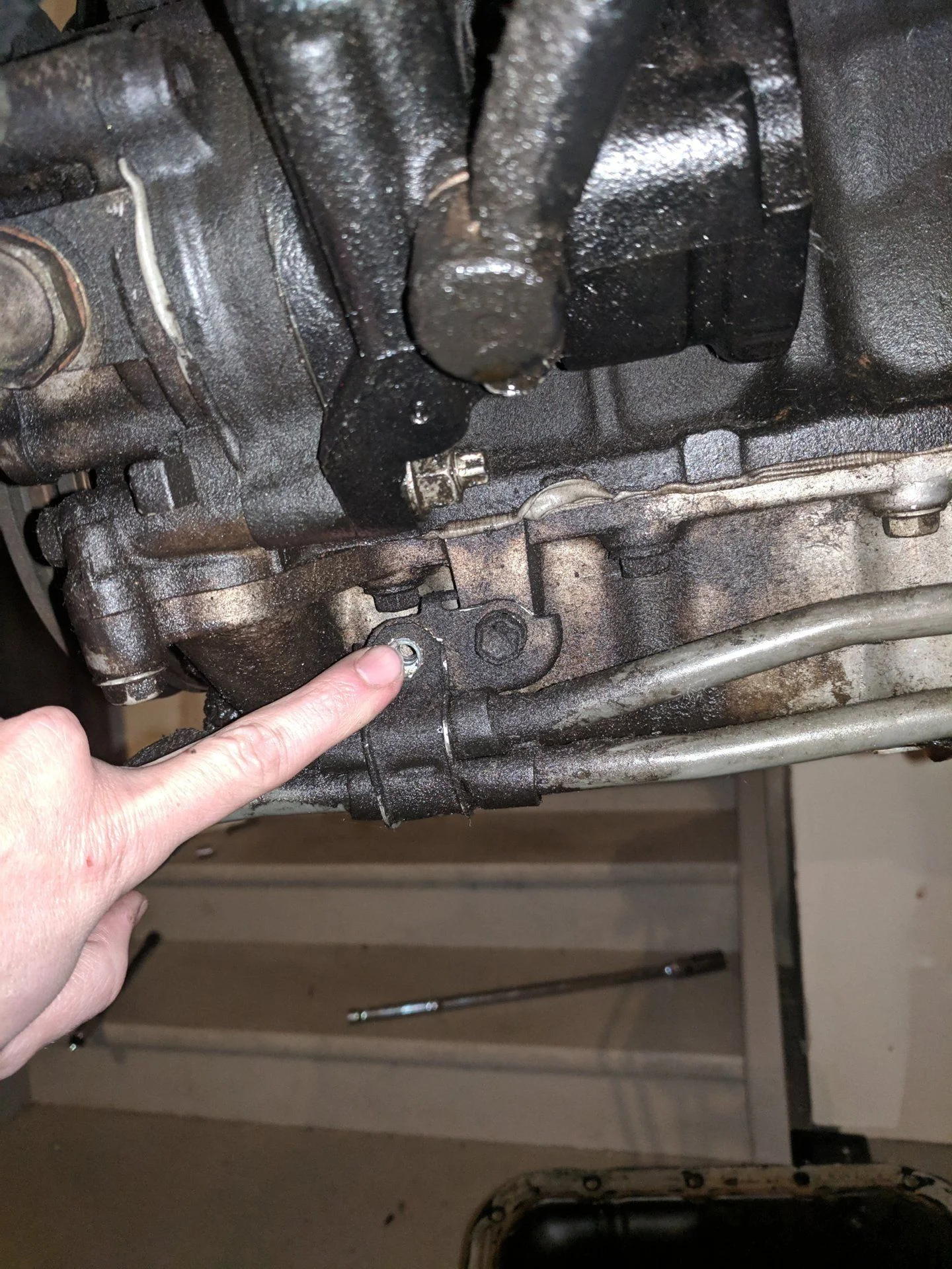 too short bolt.webp