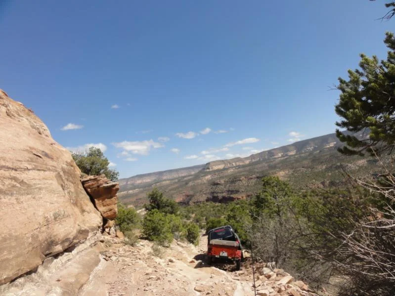 top_of_the_world_trail.webp