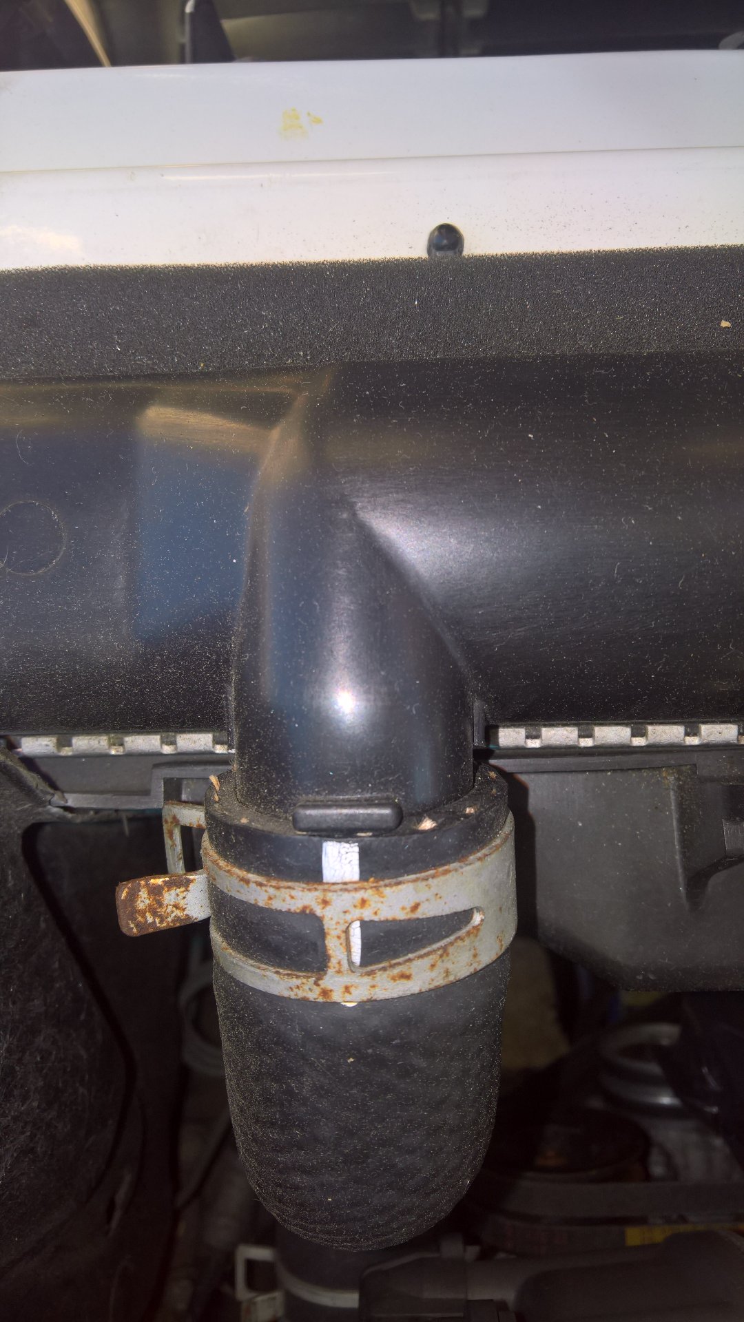 Top_radiator_hose_position_1FZFE[1].jpg