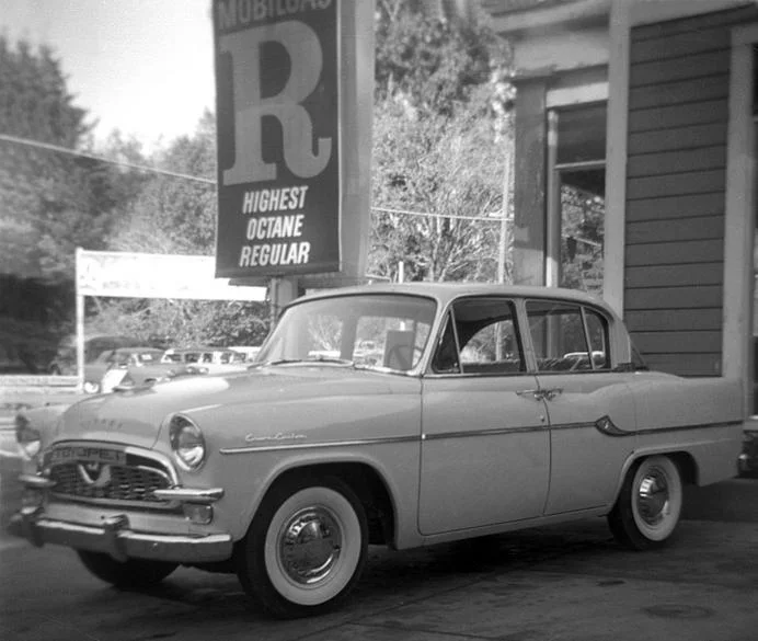 toyopet.webp