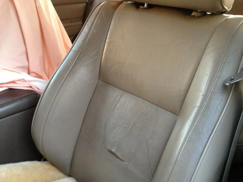 toyota pix 023.webp