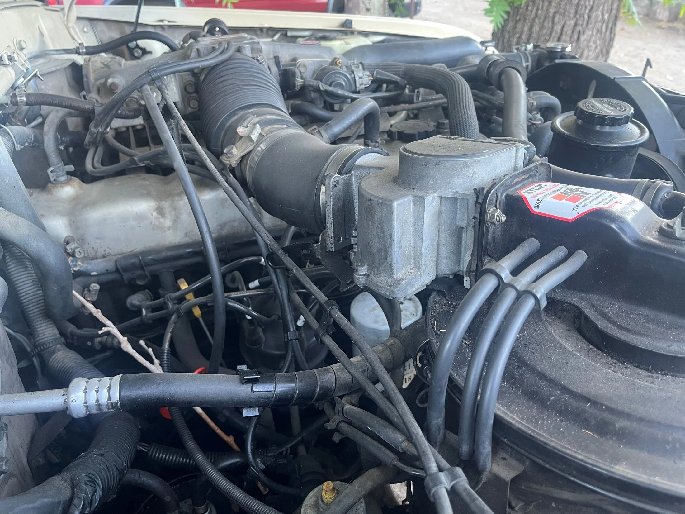 toyota4.webp