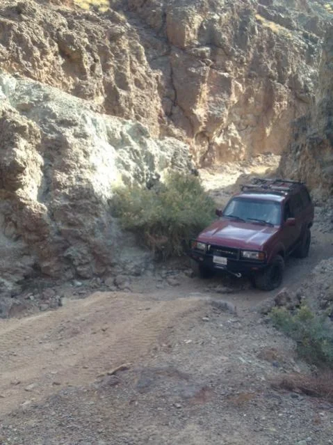 Trail 4.webp