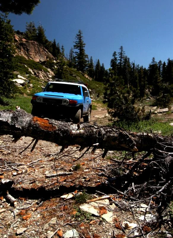 Trail blocked.webp