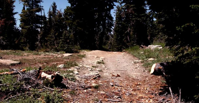 Trail is open.webp