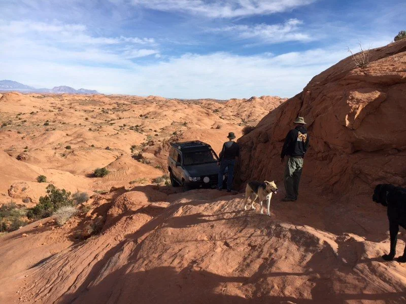 Trail shot.webp