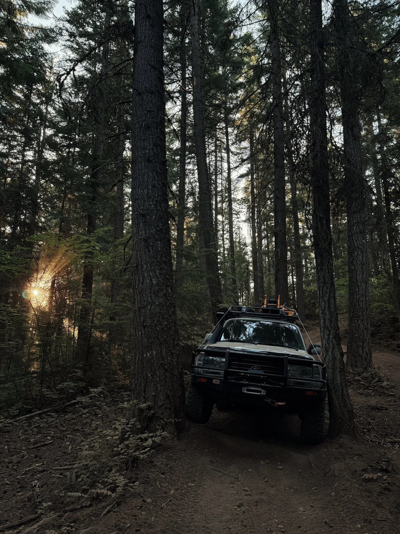 trail.webp
