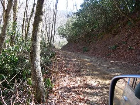 Trail1.webp