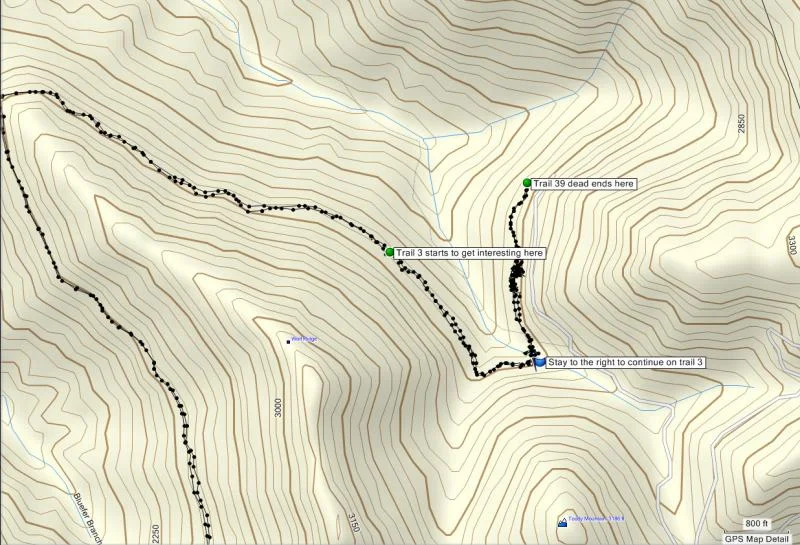 Trail39deadend.webp