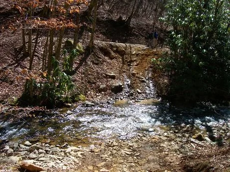 Trail4.webp