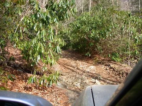 Trail6.webp