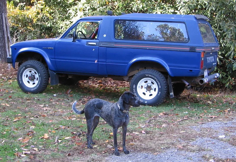 trailblazer_and_nelly_800.webp