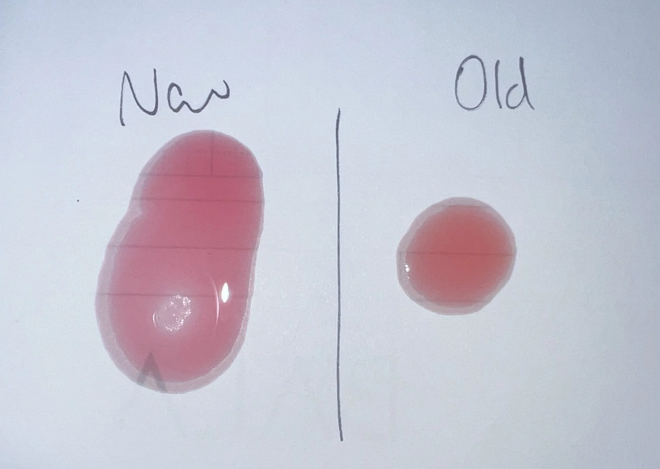 Trans Fluid.webp