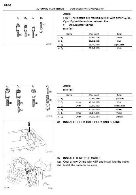 trans11.webp
