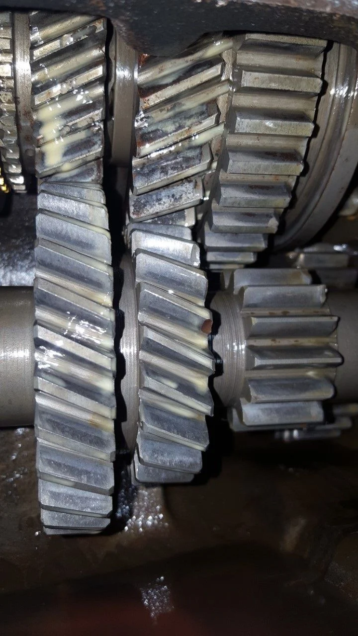 transgears.webp