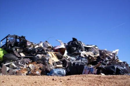 trash.webp
