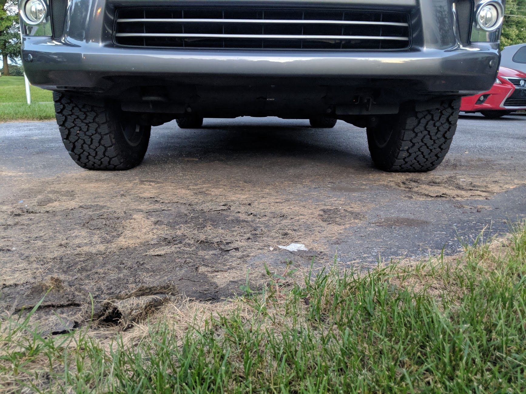 Tread View.jpg
