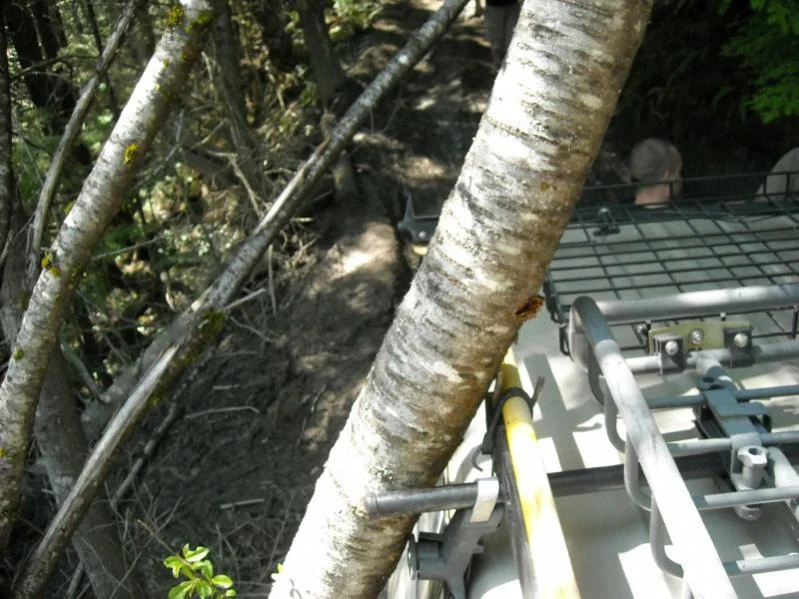 tree rack.webp