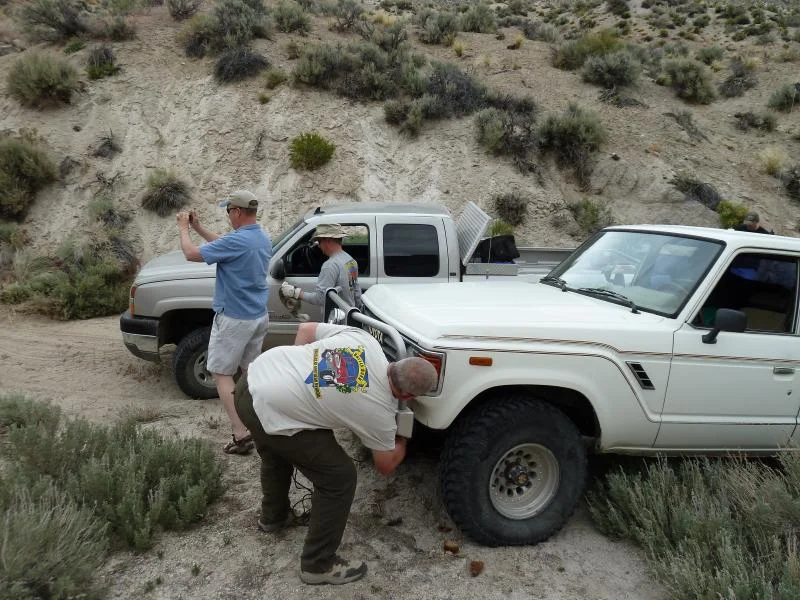 Tree Removal Team.webp