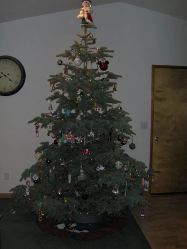 Tree2008a.webp