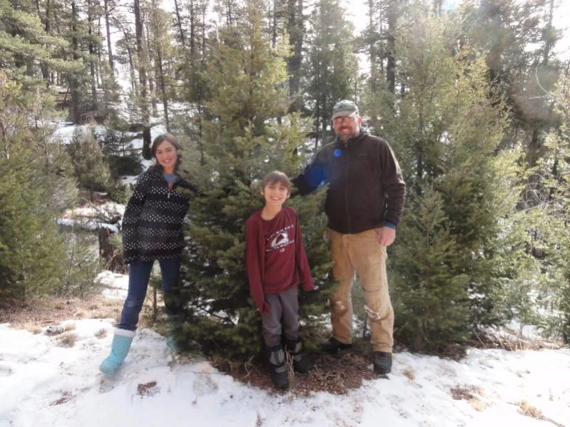 tree_1.webp