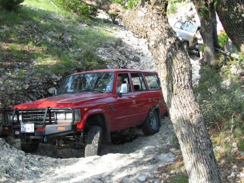 TreesRanch 041b.webp