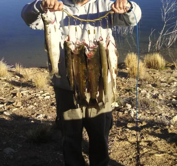 TROUT 2.webp