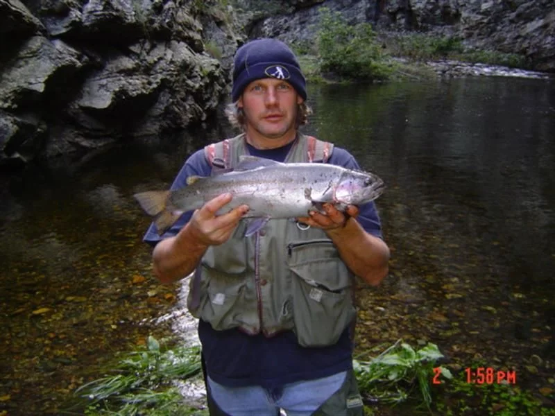 trout.webp