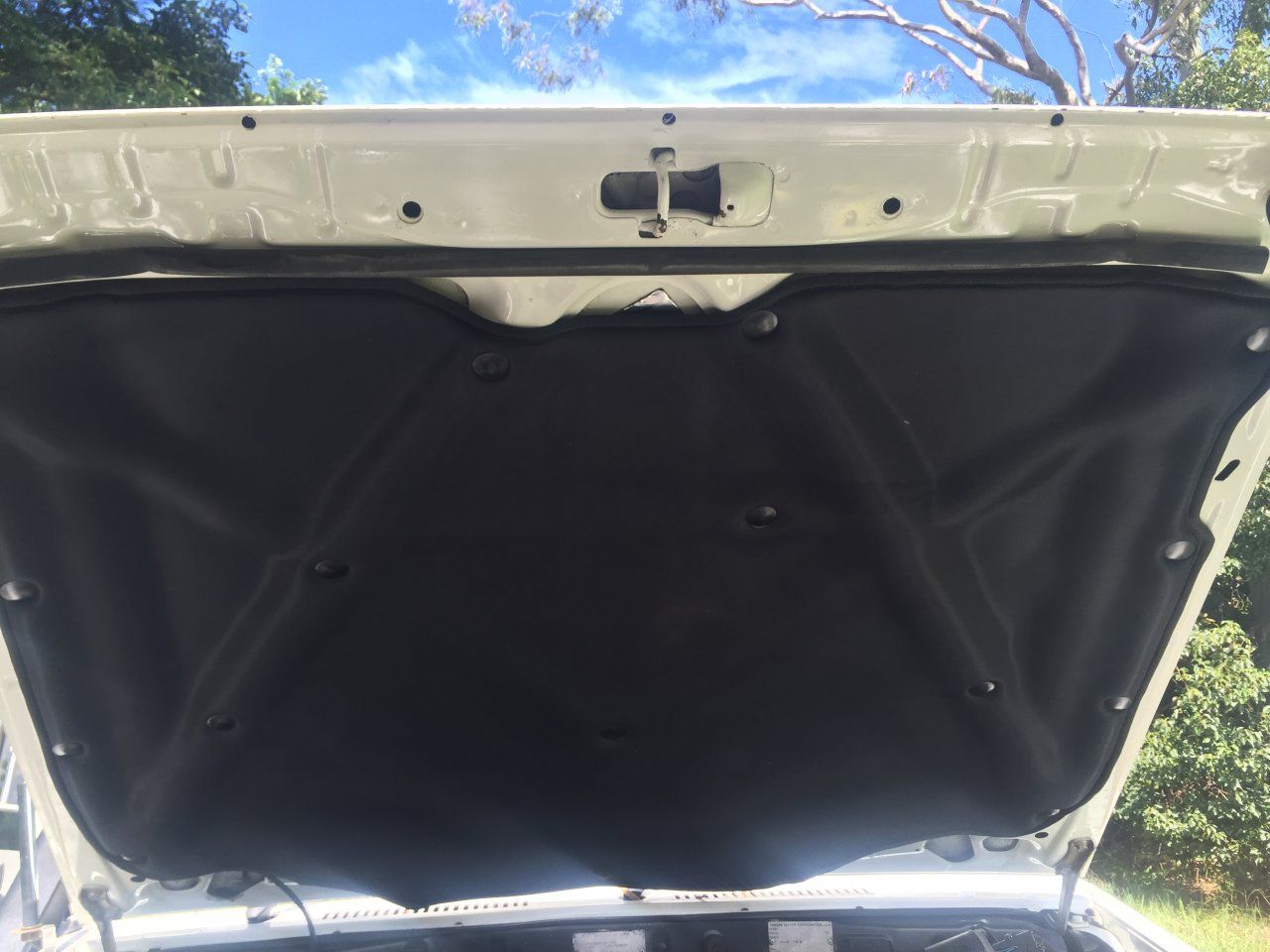 trufit liner 012.JPG