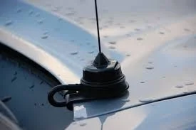 trunk lip mnt.webp