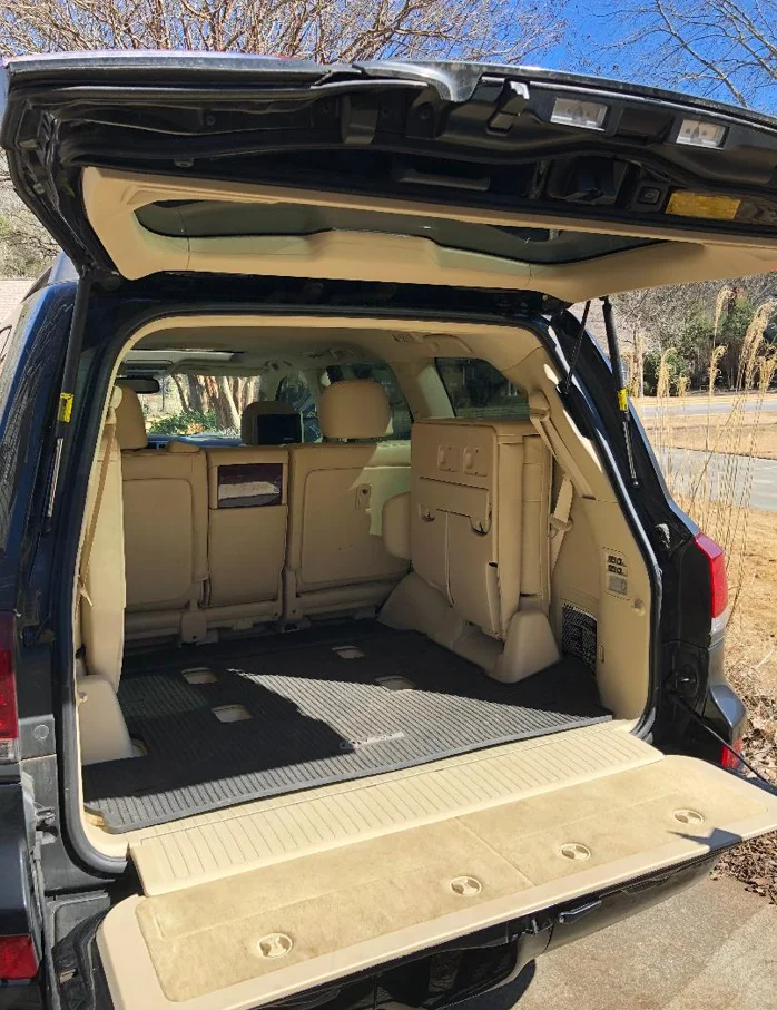 trunk1.webp