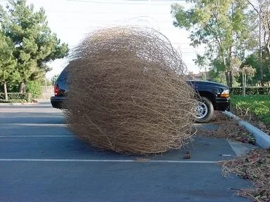 tumbleweed.webp