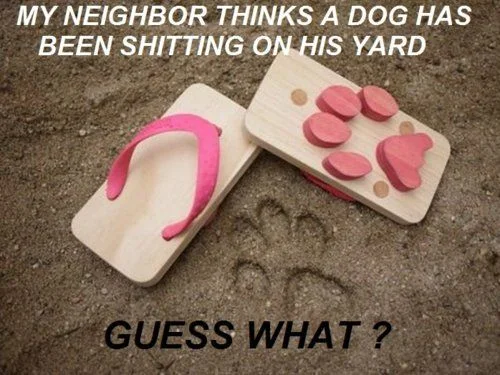 tumblr_lns48ncRKs1qb5gkjo1_500.webp