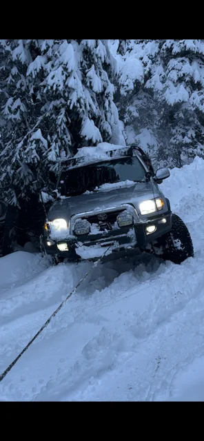 tundra snow1.webp