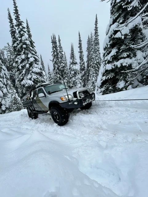 tundra snow2.webp