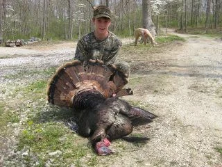 turkey.webp